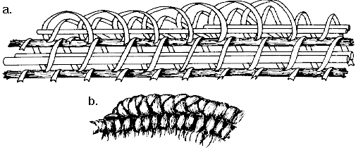 Structure of the bundle for coiling