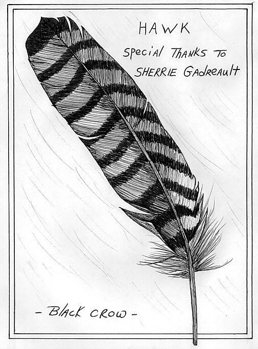 Feather drawing, Feather illustration, Crow feather