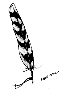 Black Crow's Feather Drawings
